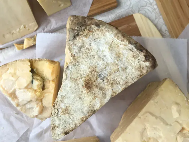 cheese